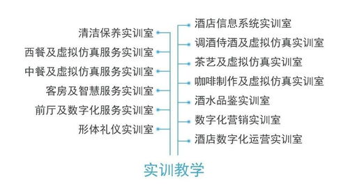 从酒店管理到数字化运营 专业名称更迭背后的行业变革